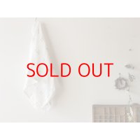 AXICS　やわらかガーゼマルチタオル