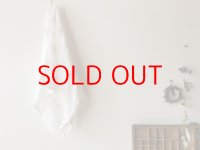 AXICS　やわらかガーゼマルチタオル