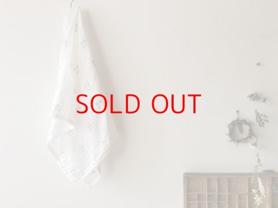 画像1: AXICS　やわらかガーゼマルチタオル