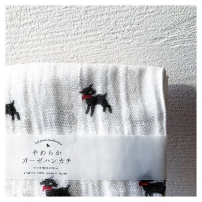 画像5: AXICS やわらかガーゼハンカチ 【5個までクリックポスト可】