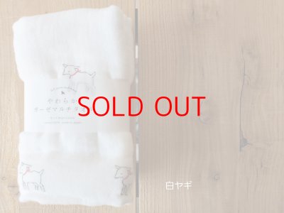 画像2: AXICS　やわらかガーゼマルチタオル