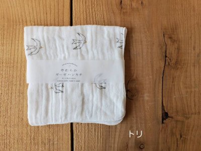 画像4: AXICS やわらかガーゼハンカチ 【5個までクリックポスト可】