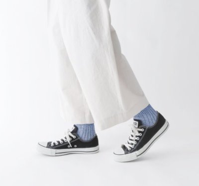 画像8: French Bull シャインソックス(新色) 【3足までクリックポスト可】