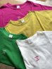 画像1: nouvelles du paradis トロワ天竺 フレンチロゴTシャツ (1)