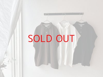 画像1: NATURAL LAUNDRY ドライカノコ ポロドルマンプルオーバー