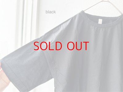 画像14: prit 30/1ハイゲージ天竺 × 80/1 タイプライター 切替5分袖Tシャツ