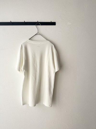 画像9: Veritecoeur  強撚天竺裏毛 JUSTSIZE T-SHIRTS