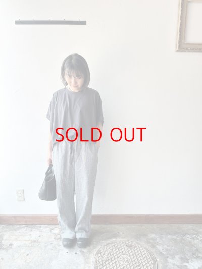 画像6: Luminaes 綿麻千鳥 イージーPT