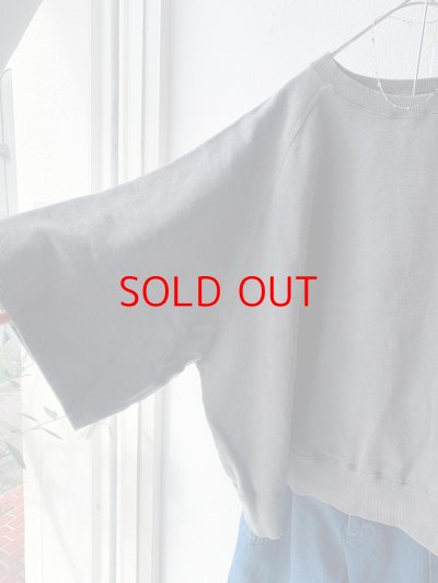 画像2: Veritecoeur Pigment dye スウェットプルオーバー