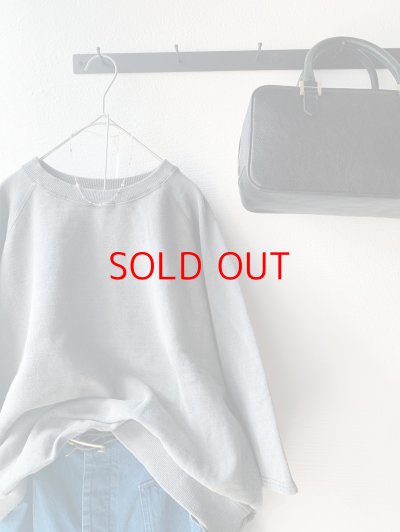 画像3: Veritecoeur Pigment dye スウェットプルオーバー