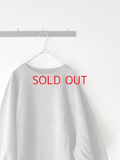 画像7: Veritecoeur Pigment dye スウェットプルオーバー