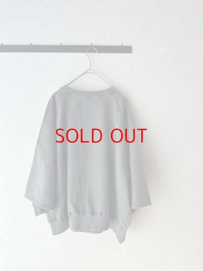 画像12: Veritecoeur Pigment dye スウェットプルオーバー