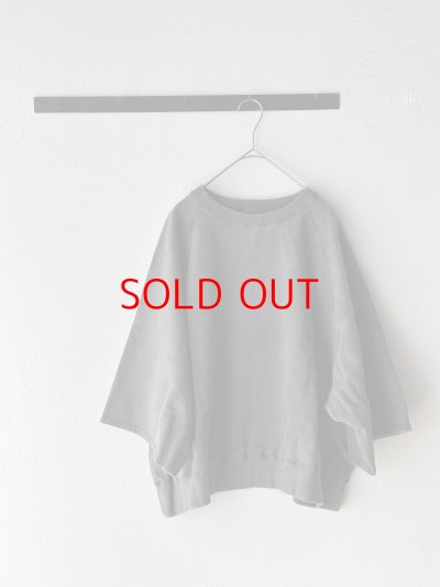 画像6: Veritecoeur Pigment dye スウェットプルオーバー