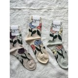 French Bull ダンスソックス【３足までクリックポスト可】