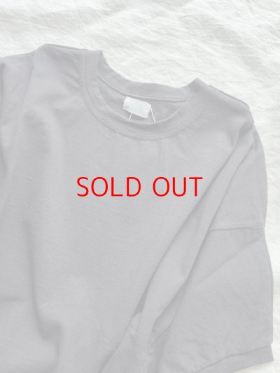 画像10: NATURAL LAUNDRY ライト度詰天竺 ワイドドルマンTシャツ