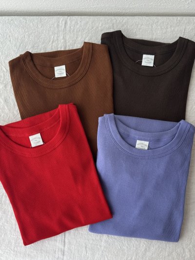 画像5: 【新色入荷】nouvelles du paradis コットンテレコ プチクルー【クリックポスト発送可】