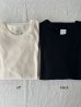 画像2: 【新色入荷】nouvelles du paradis コットンテレコ プチクルー【クリックポスト発送可】 (2)