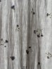 画像6: Vlas Blomme Wildflower Printed ノースリーブドレス (6)
