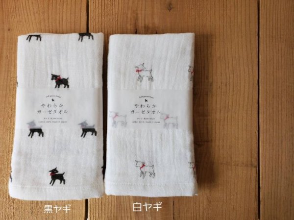 画像2: AXICS やわらかガーゼ フェイスタオル【3個までクリックポスト可】 (2)