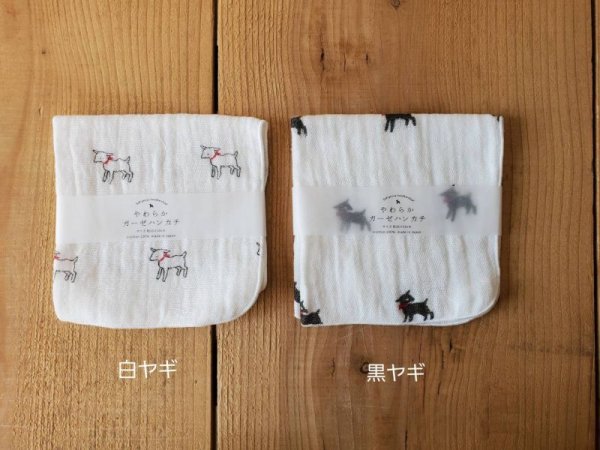 画像2: AXICS やわらかガーゼハンカチ 【5個までクリックポスト可】 (2)