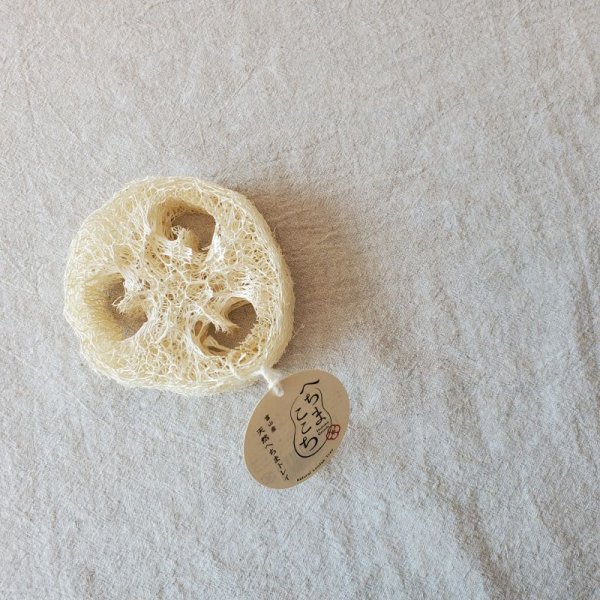 画像7: へちまここち 天然へちま (7)