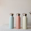 画像7: *sale 30%off* econawa 保温保冷ステンレスボトル 600 (7)