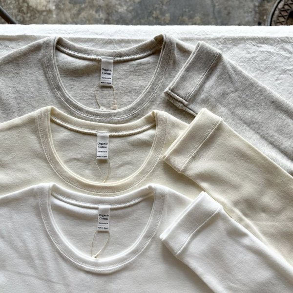 画像7: harmonie オーガニックコットン 二重ネックT【クリックポスト発送可(1枚)】 (7)