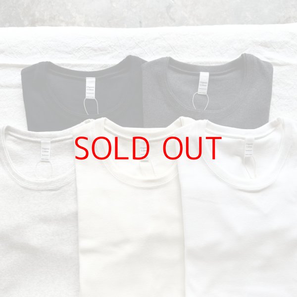 画像1: 【再入荷】harmonie オーガニックコットン 二重ネックT【クリックポスト発送可（１枚）】 (1)