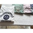 画像1: *sale30%off* NATURAL LAUNDRY ミニ裏毛 ラグランPO (1)