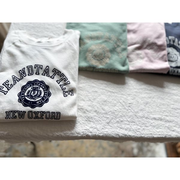 画像1: *sale30%off* NATURAL LAUNDRY ミニ裏毛 ラグランPO (1)
