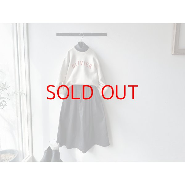 画像1: *sale50%off* prit サテンダブルストライプ タックスカート【レターパックプラス（600円）発送可能】 (1)