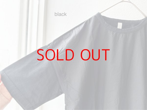 画像14: prit 30/1ハイゲージ天竺 × 80/1 タイプライター 切替5分袖Tシャツ (14)