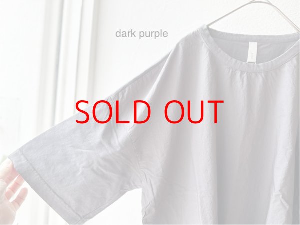 画像10: prit 30/1ハイゲージ天竺 × 80/1 タイプライター 切替5分袖Tシャツ (10)