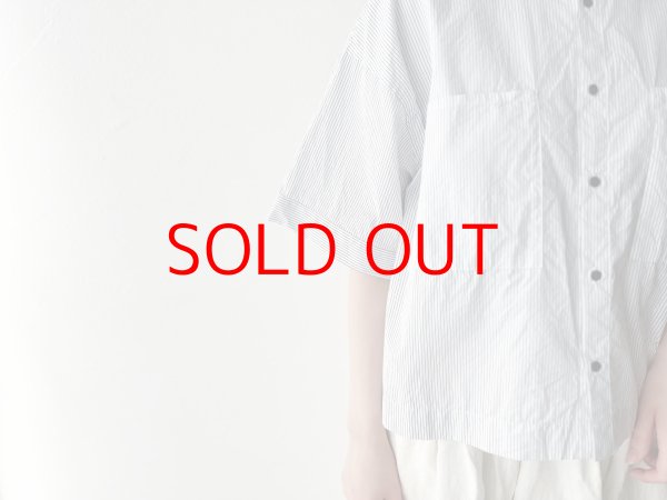 画像6: nouvelles du paradis ストライプクロス フリル衿ワイドブラウス【クリックポスト（185円）発送可能】 (6)