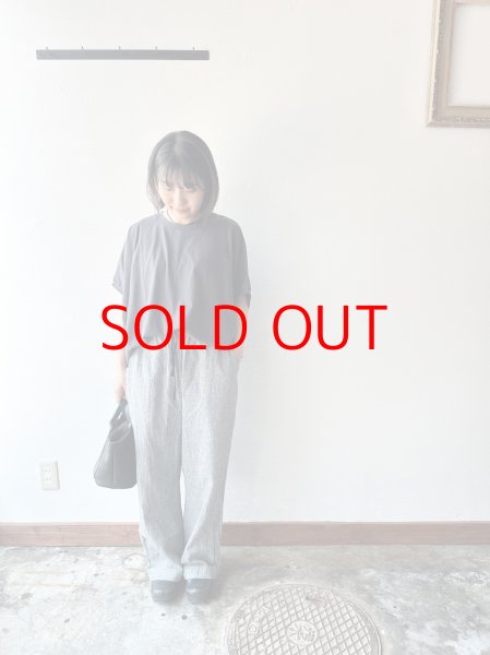 画像6: Luminaes 綿麻千鳥 イージーPT (6)