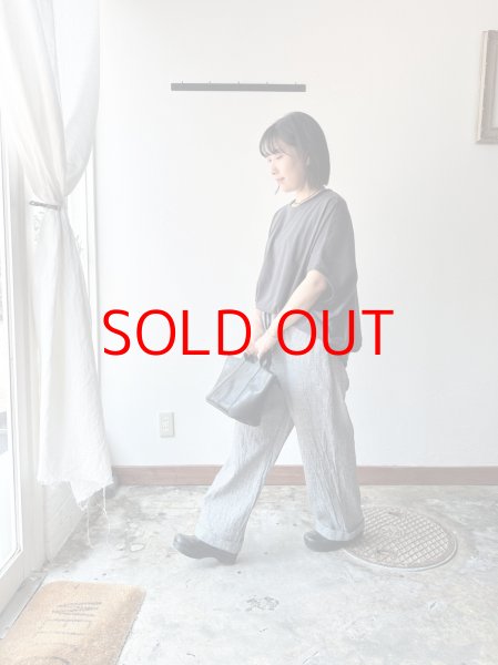 画像5: Luminaes 綿麻千鳥 イージーPT (5)