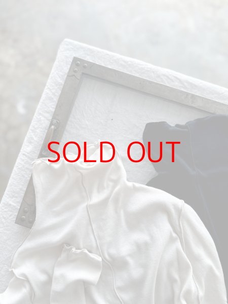 画像1: nouvelles du paradis ソフトフライス メローハイネック 【クリックポスト（185円）発送可能】 (1)