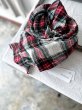 画像1: Véritécoeur Checked Gauze Stole (1)