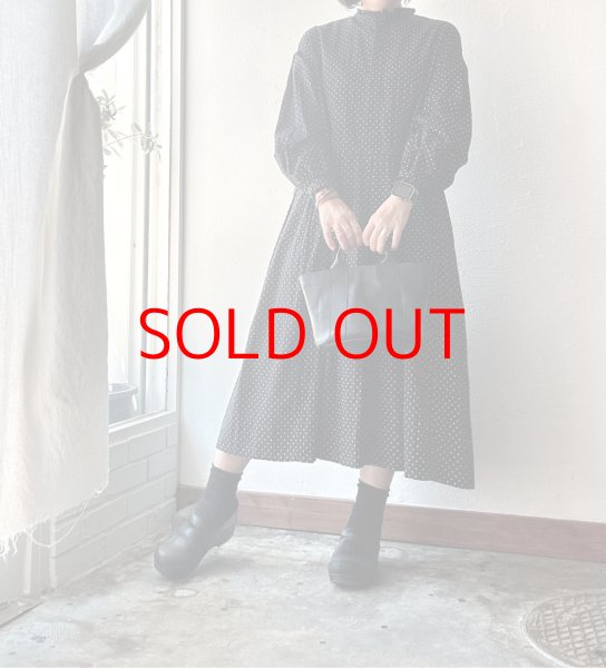 画像1: Véritécoeur ドットフリルワンピース (1)