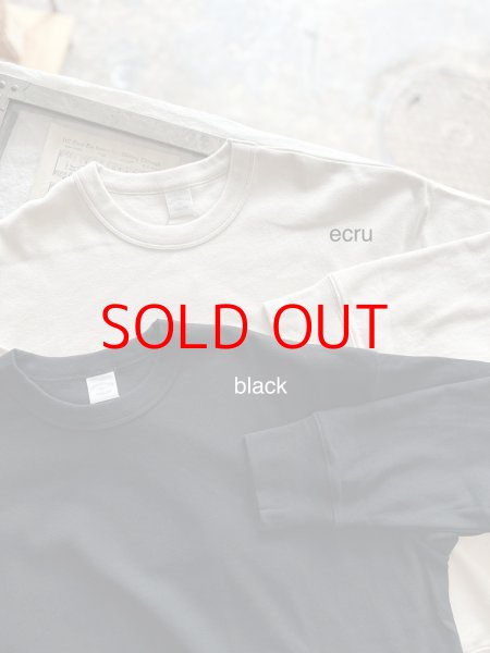 画像5: nouvelles du paradis トロワフライス スウェットプルオーバー (5)