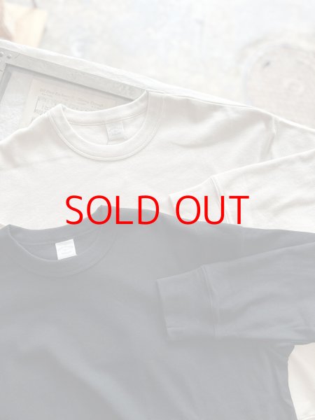 画像1: nouvelles du paradis トロワフライス スウェットプルオーバー (1)