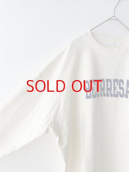 画像5: *sale30%off* NATURAL LAUNDRY ミニ裏毛 ブールサレプリントBigPO【レターパックプラス（600円）発送可能】 (5)