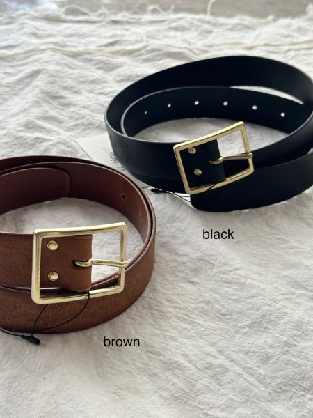 画像2: Veritecoeur 35 BELT (2)