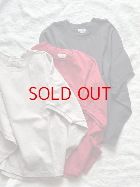 画像1: NATURAL LAUNDRY ライト度詰天竺 ワイドドルマンTシャツ (1)