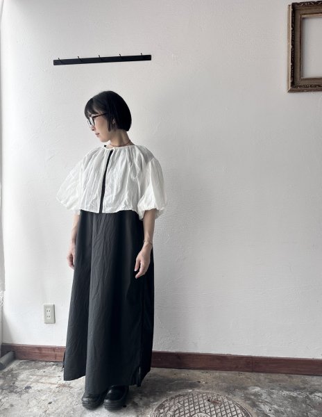 画像5: (g) LACE TRIM LAYERING ONEPIECE (5)