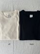 画像2: 【新色入荷】nouvelles du paradis コットンテレコ プチクルー【クリックポスト発送可】 (2)